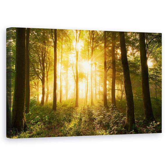 Tablou Canvas - Lumina In Padure, Marime: 50 x 80 cm - - Roveli