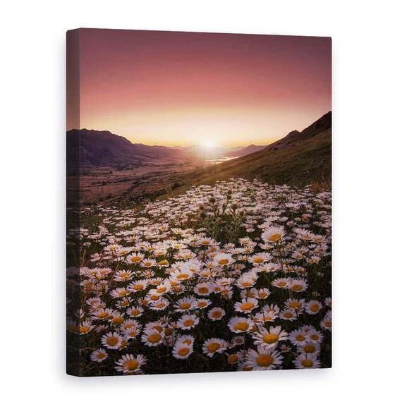 Tablou Canvas - Mai Aproape De Soare, Marime: 75 x 100 cm - - Roveli