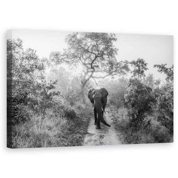 Tablou Canvas - Gigant La Plimbare, Marime: 50 x 80 cm - - Roveli