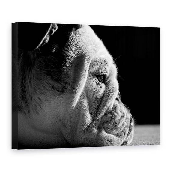 Tablou Canvas - Printre Riduri, Marime: 75 x 100 cm - - Roveli