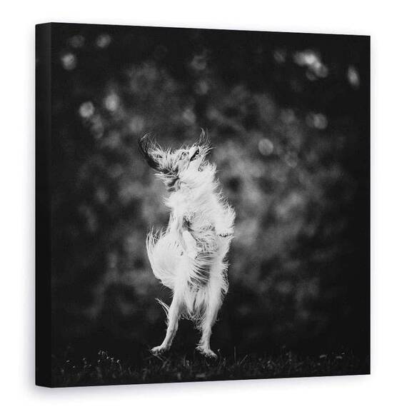 Tablou Canvas - Bucurie, Marime: 90 x 90 cm - - Roveli