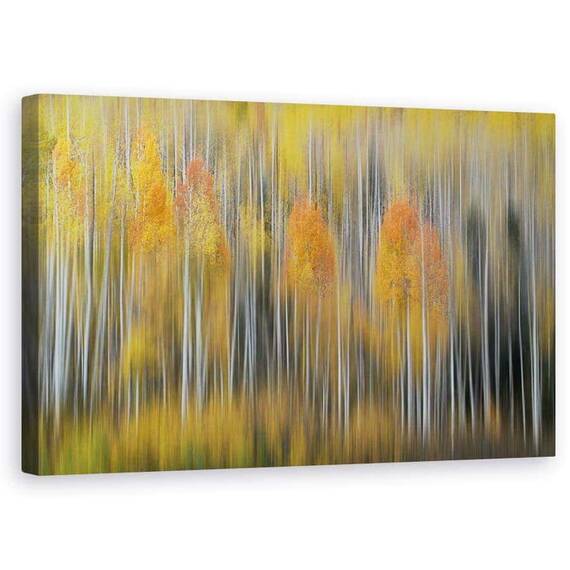 Tablou Canvas - Impresie De Toamna 2, Marime: 50 x 80 cm - - Roveli