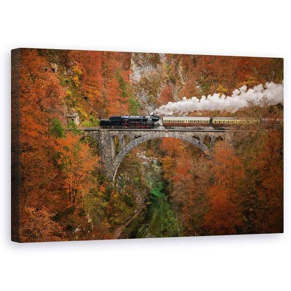 Tablou Canvas - Tren De Muzeu, Marime: 50 x 80 cm - - Roveli