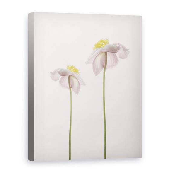 Tablou Canvas - O Amintire De Vara, Marime: 75 x 100 cm - - Roveli