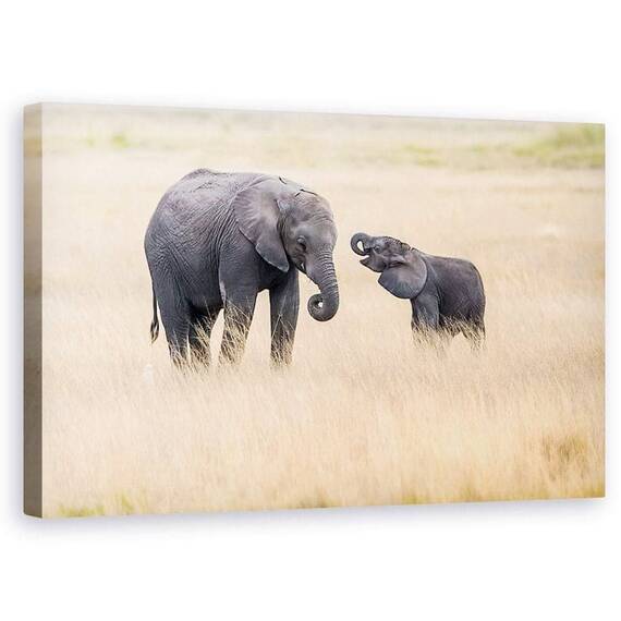 Tablou Canvas - Mama Elefant Si Puii, Marime: 50 x 80 cm - - Roveli