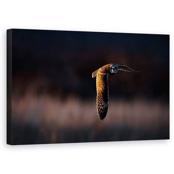 Tablou Canvas - Infruntare, Marime: 50 x 80 cm - - Roveli