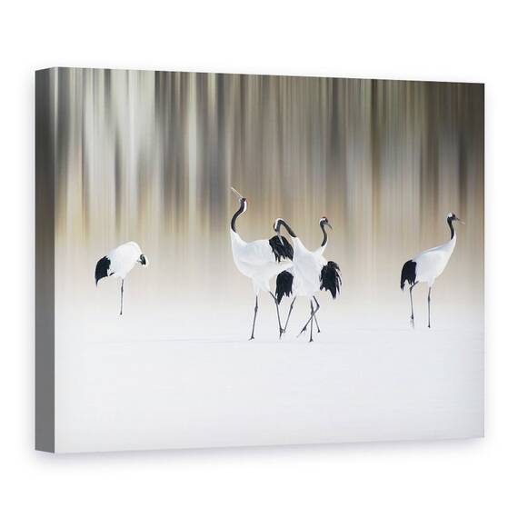 Tablou Canvas - Macarale Albe Cu Creasta Rosie - - Roveli