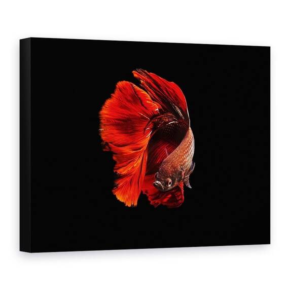 Tablou Canvas - Rosu, Marime: 75 x 100 cm - - Roveli
