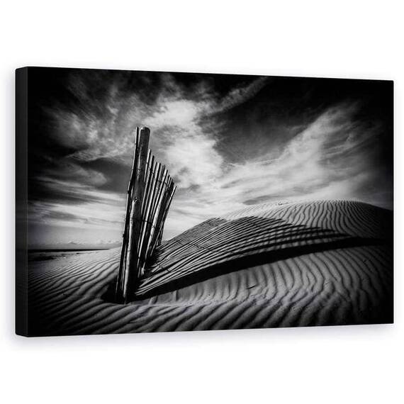 Tablou Canvas - Scartelat, Marime: 50 x 80 cm - - Roveli