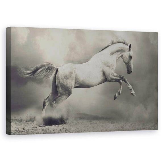Tablou Canvas - Parical, Marime: 50 x 80 cm - - Roveli
