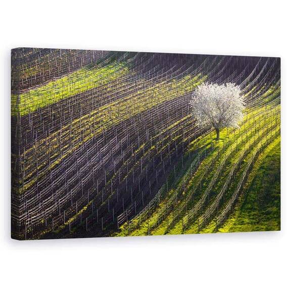 Tablou Canvas - Corzi De Primavara, Marime: 50 x 80 cm - - Roveli