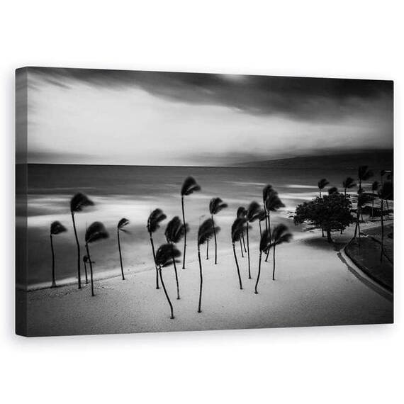 Tablou Canvas - Furtuna Tropicala, Marime: 50 x 80 cm - - Roveli