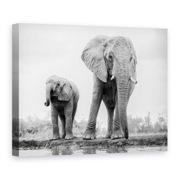 Tablou Canvas - Duo, Marime: 75 x 100 cm - - Roveli