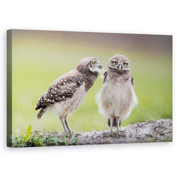 Tablou Canvas - Lasa-Ma In Pace, Marime: 50 x 80 cm - - Roveli