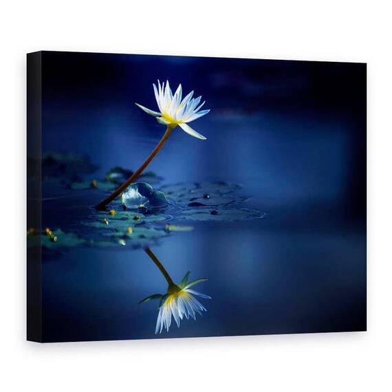 Tablou Canvas - Reflectie, Marime: 75 x 100 cm - - Roveli
