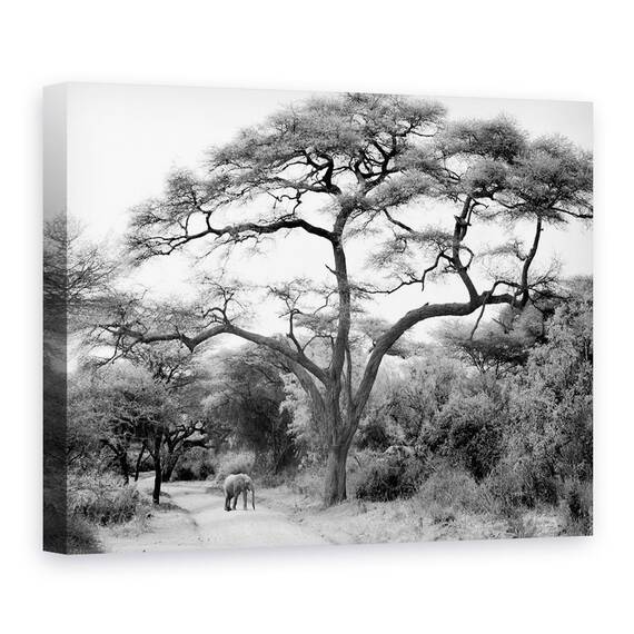 Tablou Canvas - Sub Salcam, Marime: 75 x 100 cm - - Roveli