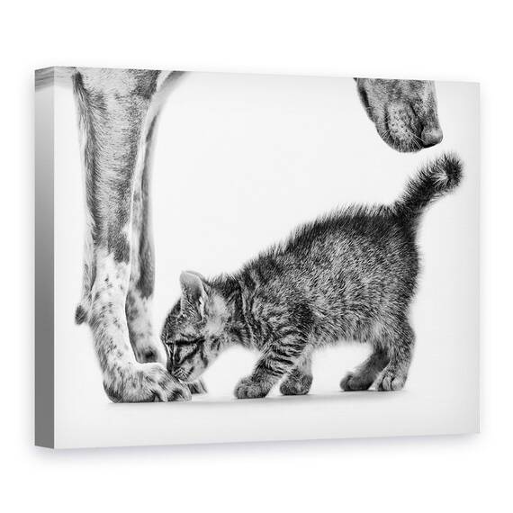 Tablou Canvas - Miroase-Ma, Marime: 75 x 100 cm - - Roveli