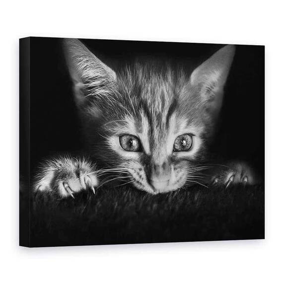 Tablou Canvas - La Film, Marime: 75 x 100 cm - - Roveli