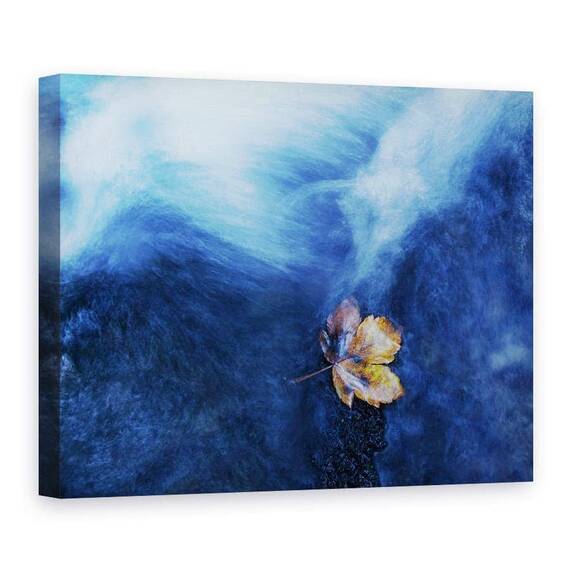 Tablou Canvas - Aterizarea - - Roveli