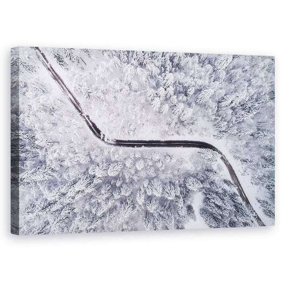 Tablou Canvas - Drum Prin Padurea In Iarna, Marime: 50 x 80 cm - - Roveli