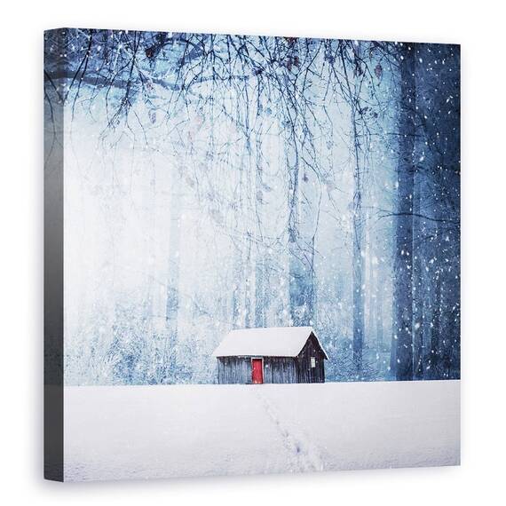 Tablou Canvas - Iarna - - Roveli