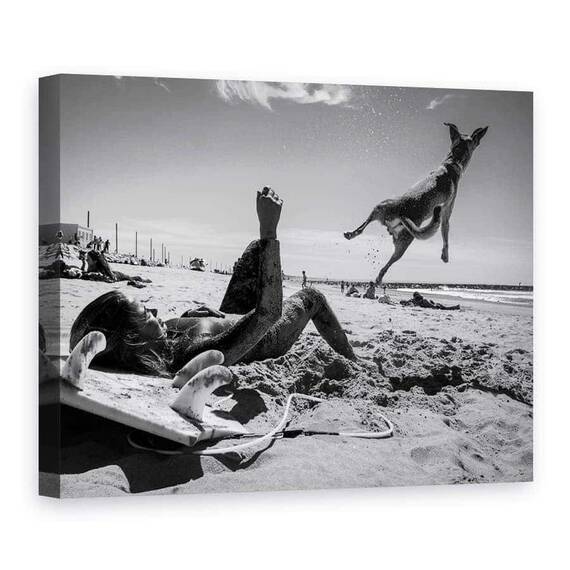 Tablou Canvas - Super Caine, Marime: 75 x 100 cm - - Roveli