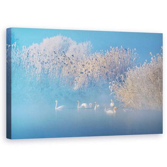 Tablou Canvas - Lacul Lebedelor Albastre - - Roveli