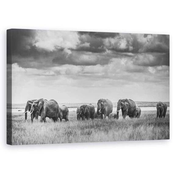 Tablou Canvas - Familia Elefantilor, Marime: 50 x 80 cm - - Roveli