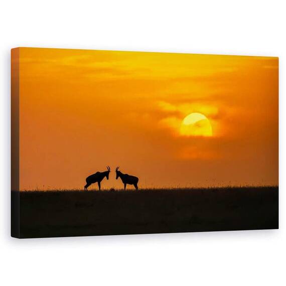 Tablou Canvas - La Apusul Soarelui, Marime: 50 x 80 cm - - Roveli