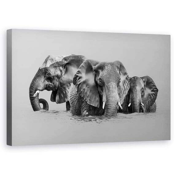 Tablou Canvas - Elefant Care Traverseaza Raul, Marime: 50 x 80 cm - - Roveli