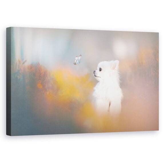 Tablou Canvas - Micuta Dragoste, Marime: 50 x 80 cm - - Roveli