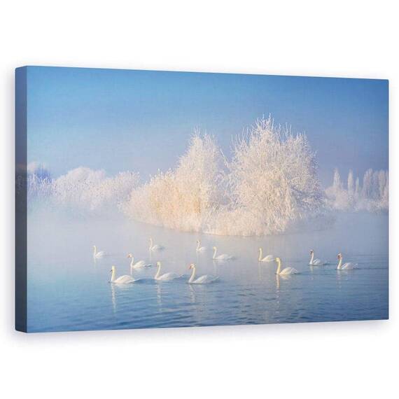 Tablou Canvas - Lacul Lebedelor - - Roveli