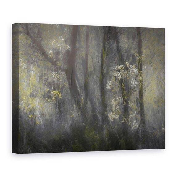 Tablou Canvas - Hasmatuchi (Planta) - - Roveli