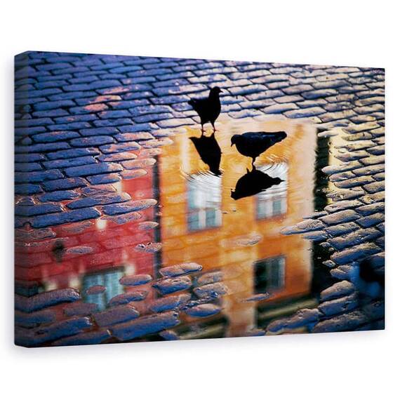Tablou Canvas - Porumbei, Marime: 60 x 90 cm - - Roveli