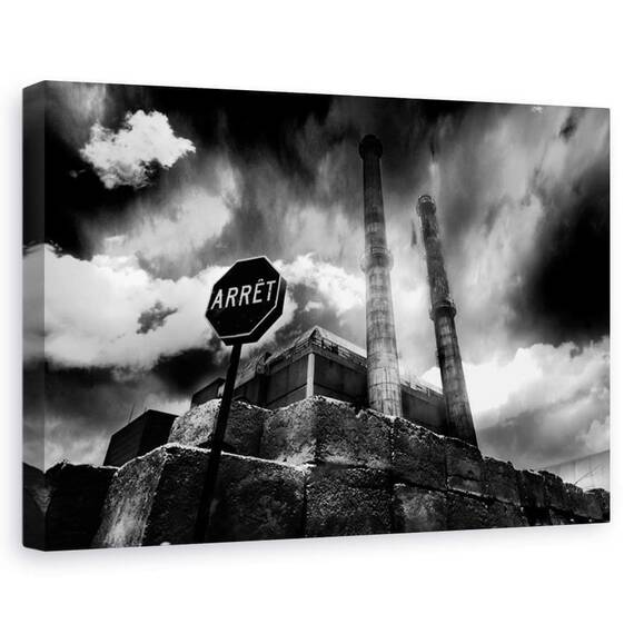 Tablou Canvas - II, Marime: 60 x 90 cm - - Roveli