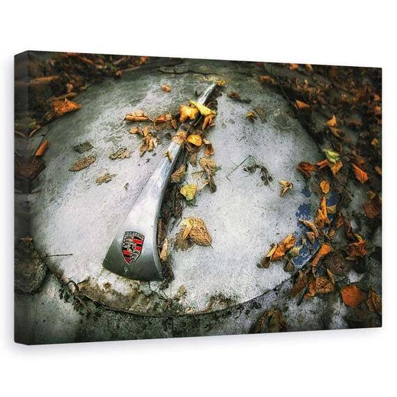 Tablou Canvas - Porsche, Marime: 60 x 90 cm - - Roveli