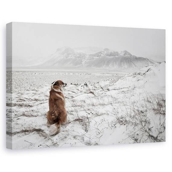 Tablou Canvas - Furtuna De Zapada - - Roveli