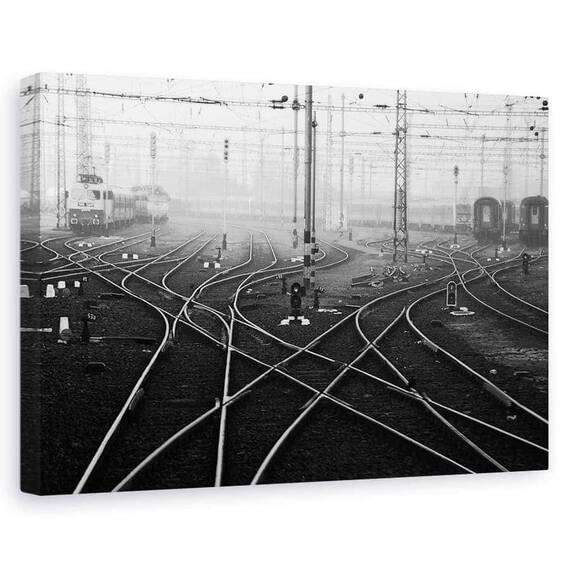Tablou Canvas - Pasager De Noiembrie, Marime: 60 x 90 cm - - Roveli