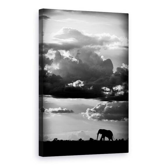 Tablou Canvas - Mergand Sub Cerul African, Marime: 60 x 90 cm - - Roveli