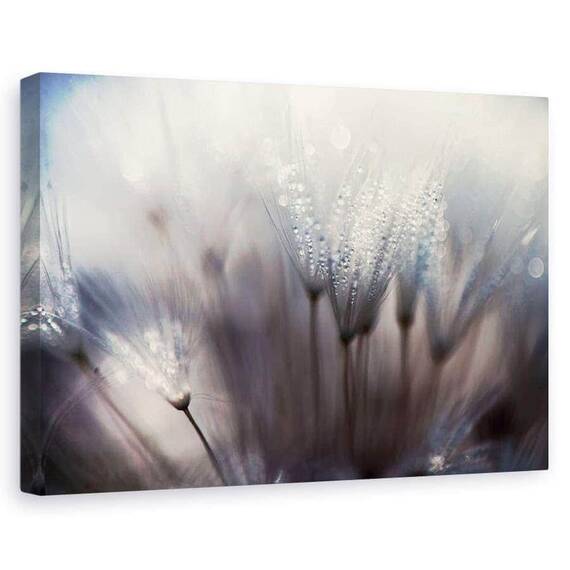 Tablou Canvas - Padurea - - Roveli