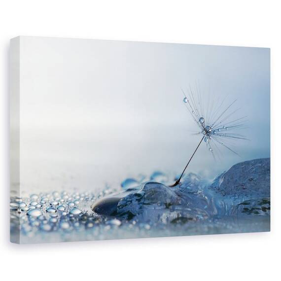 Tablou Canvas - Dimineata Albastra, Marime: 60 x 90 cm - - Roveli