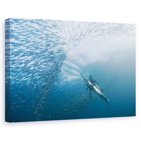 Tablou Canvas - Vanator Si Vanat, Marime: 60 x 90 cm - - Roveli