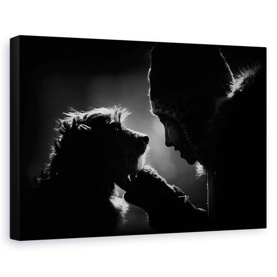 Tablou Canvas - Bond, Marime: 60 x 90 cm - - Roveli