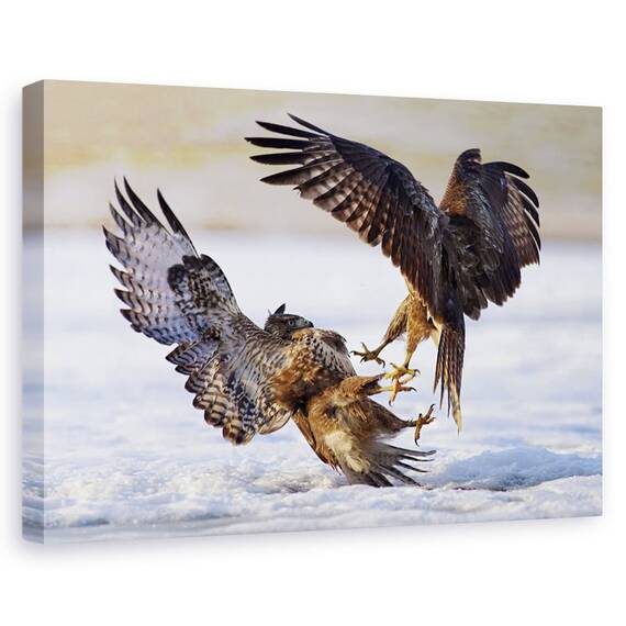 Tablou Canvas - Duel, Marime: 60 x 90 cm - - Roveli