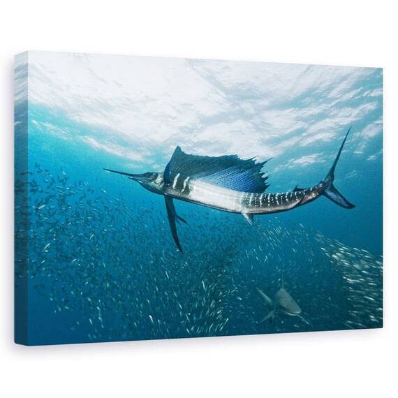 Tablou Canvas - Comuniune, Marime: 60 x 90 cm - - Roveli