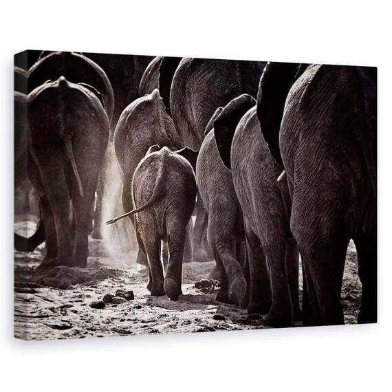 Tablou Canvas - Plimbare Spre Casa - - Roveli