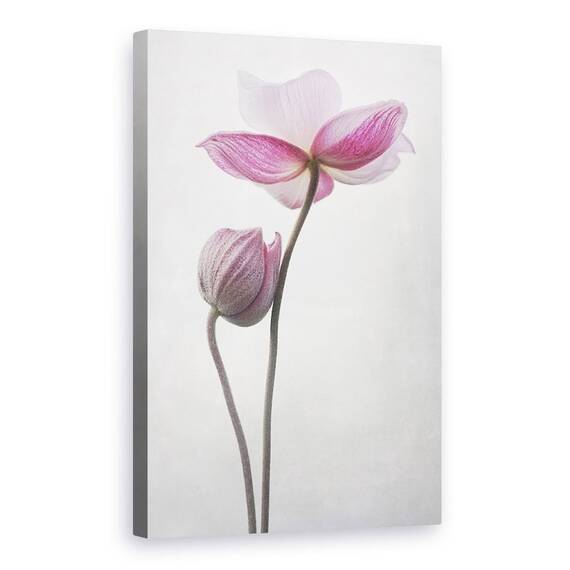 Tablou Canvas - O Mica Atingere - - Roveli