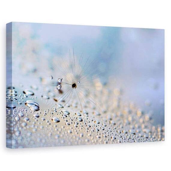 Tablou Canvas - Tarare, Marime: 60 x 90 cm - - Roveli