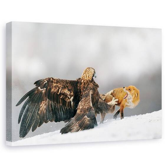 Tablou Canvas - Vulturul De Aur Si Vulpea Rosie, Marime: 60 x 90 cm - - Roveli