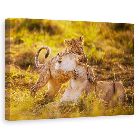 Tablou Canvas - Farmecul, Marime: 60 x 90 cm - - Roveli